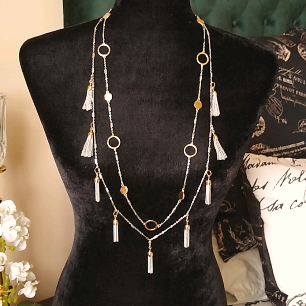 WHBM Silver and Gold Tassel 32" Necklace